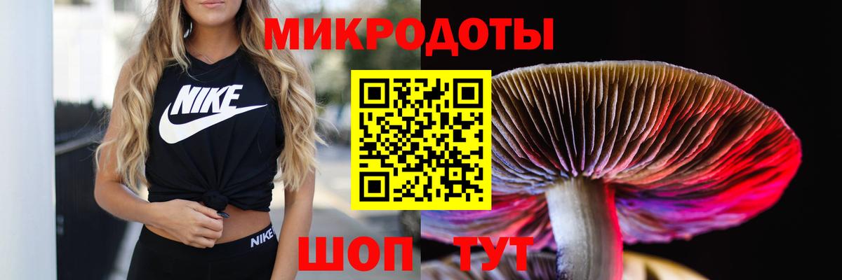 Галлюциногенные грибы Psilocybine cubensis Коломна