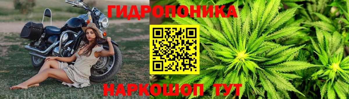 Бошки Шишки Коломна